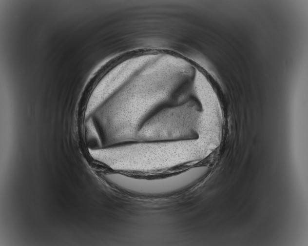 X0000082940972200703020124