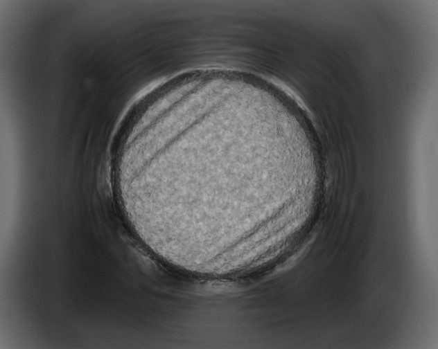 X0000082940974200703020124