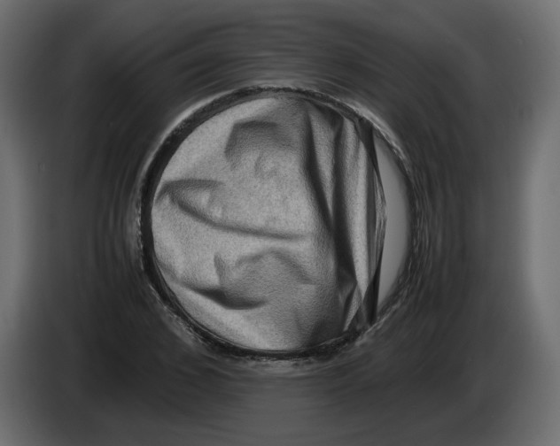 X0000082940976200703020123