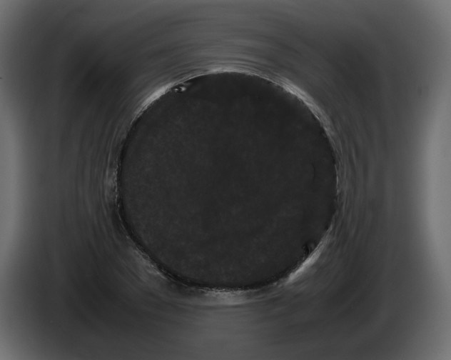 X0000082940977200703020123