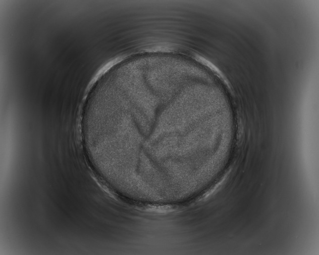 X0000082940978200703020123