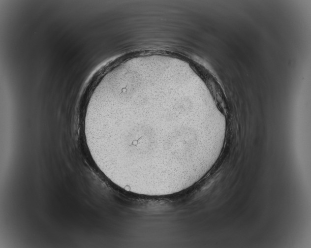 X0000082940979200703020123