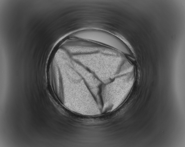 X0000082940980200703020123