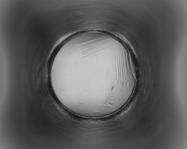 X0000082940981200703020123