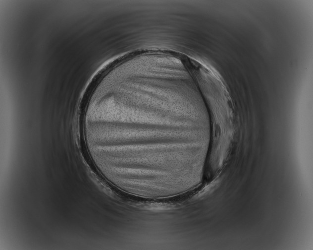 X0000082940984200703020123