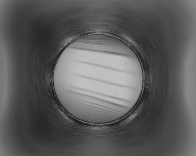 X0000082940985200703020123