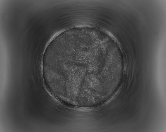 X0000082940986200703020123