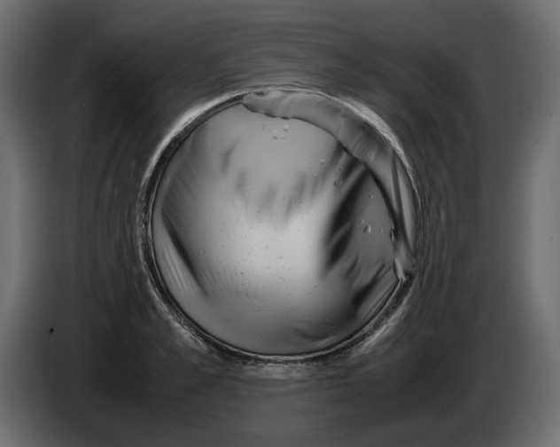 X0000082940989200703020123