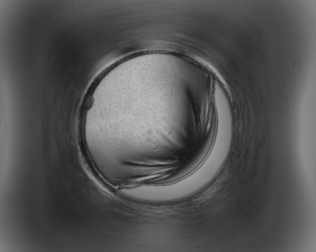 X0000082940991200703020123