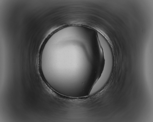 X0000082940992200703020123