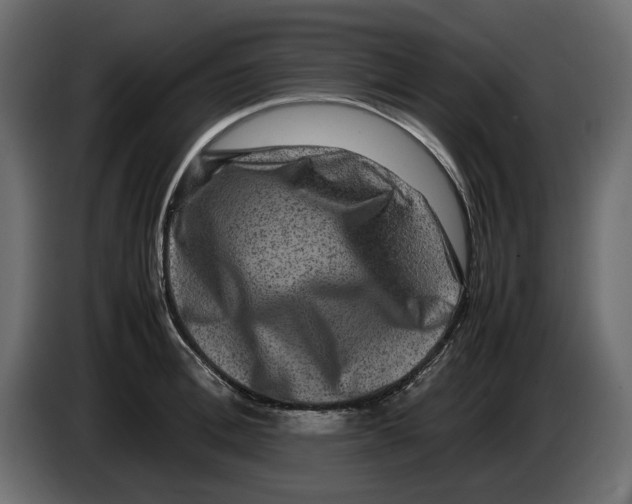 X0000082940996200703020123