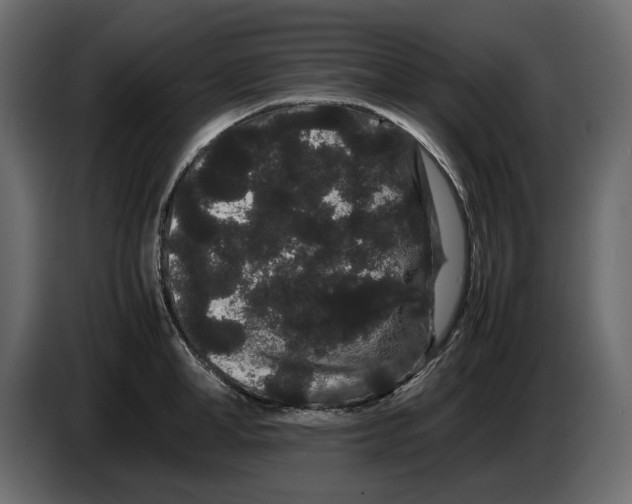 X0000082940998200703020123