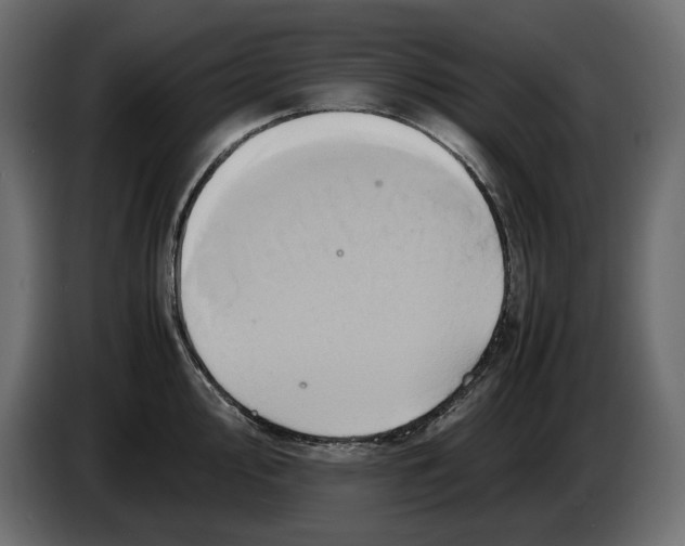 X0000082941000200703020123