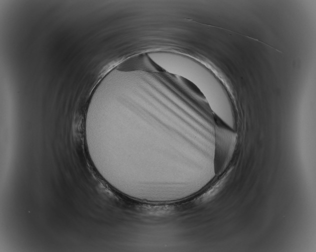 X0000082941001200703020123