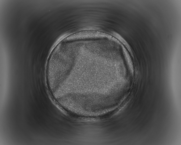 X0000082941002200703020123