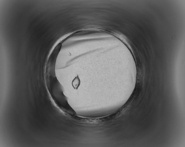 X0000082941003200703020123