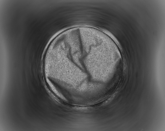 X0000082941004200703020123