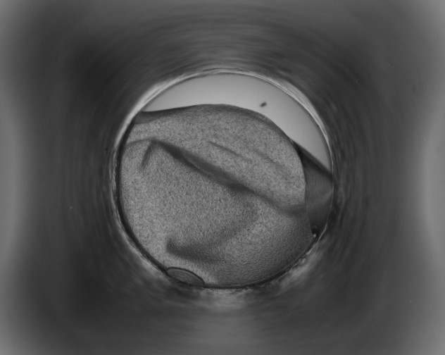 X0000082941005200703020123