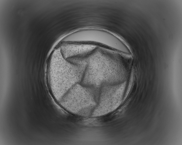 X0000082941006200703020123