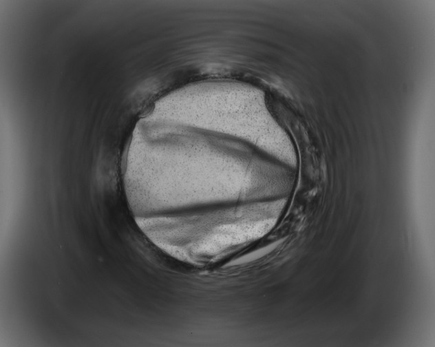 X0000082941012200703020122