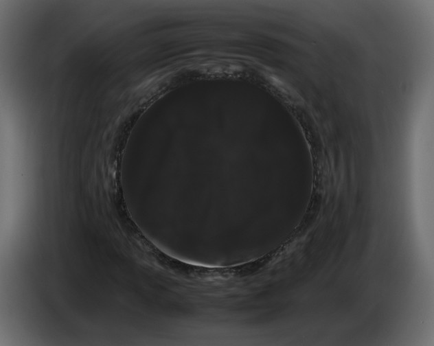 X0000082941013200703020122