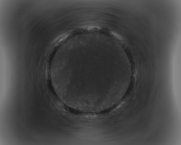 X0000082941014200703020122