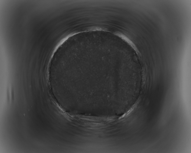 X0000082941023200703020123