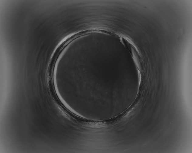 X0000082941024200703020123