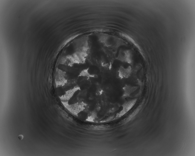 X0000082941025200703020123