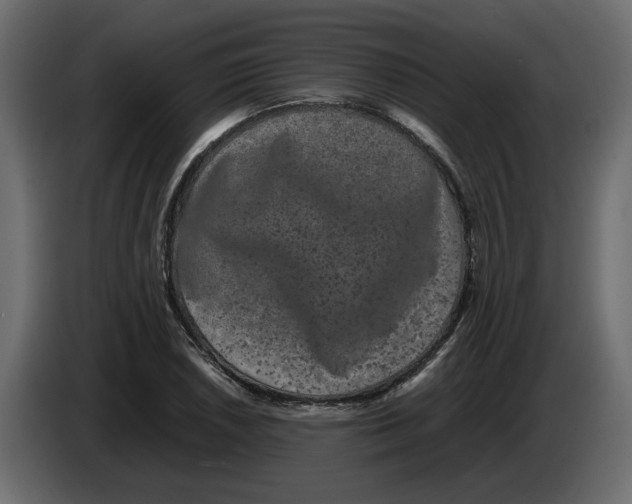 X0000082941026200703020123