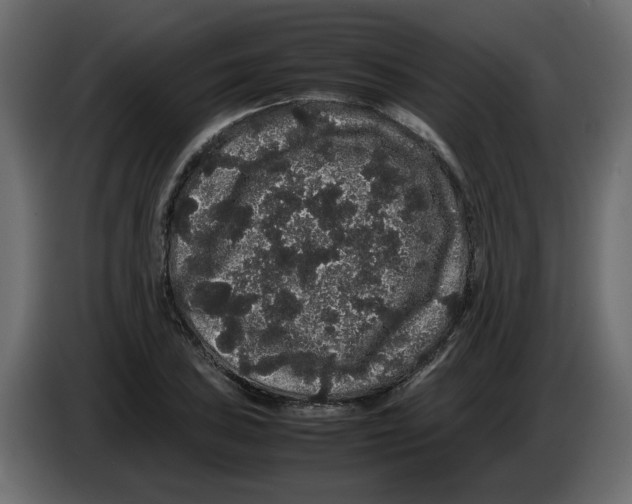 X0000082941027200703020123