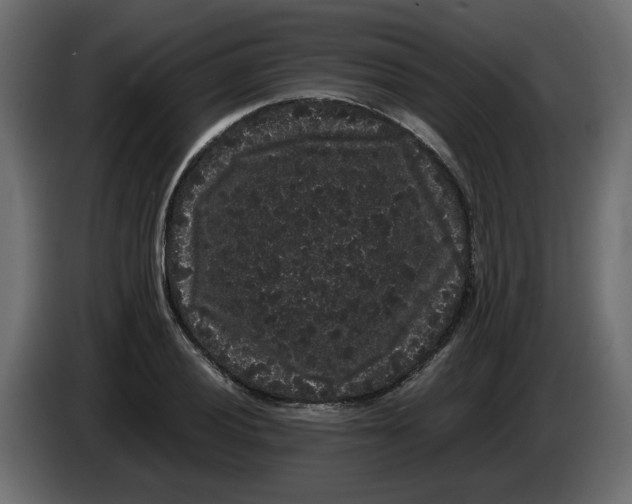 X0000082941028200703020123