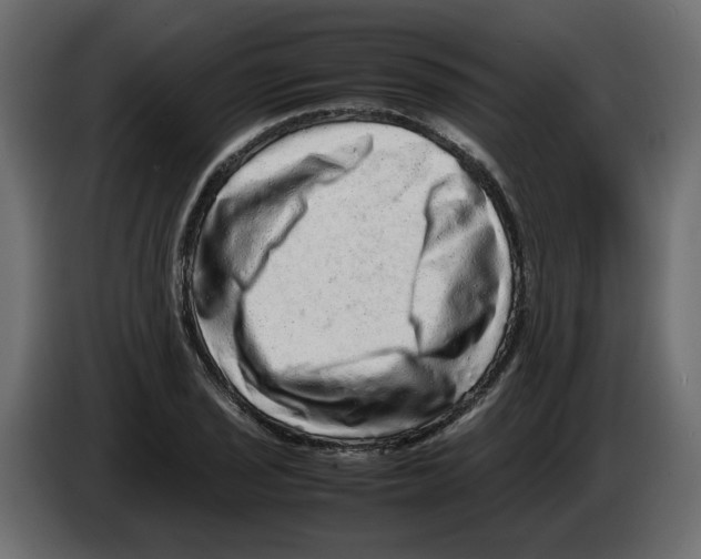 X0000082941029200703020123