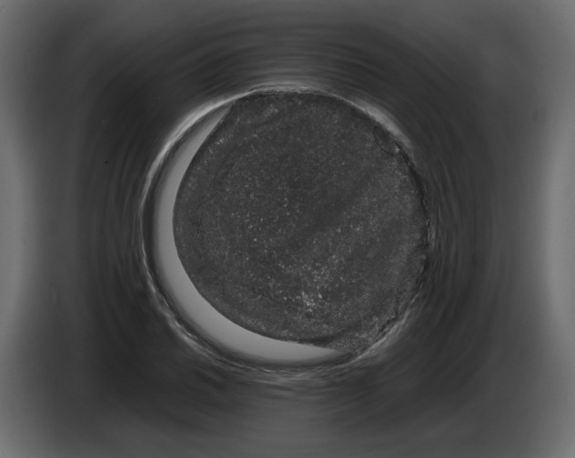 X0000082941030200703020123