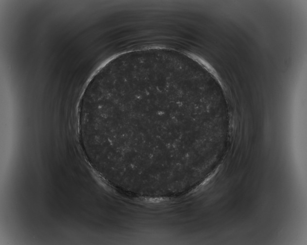 X0000082941031200703020123