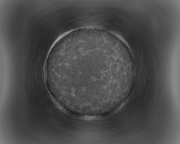 X0000082941032200703020123