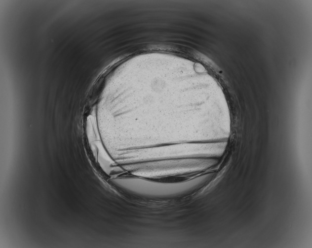 X0000082941033200703020123