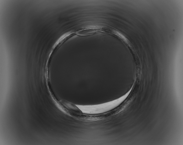 X0000082941034200703020123