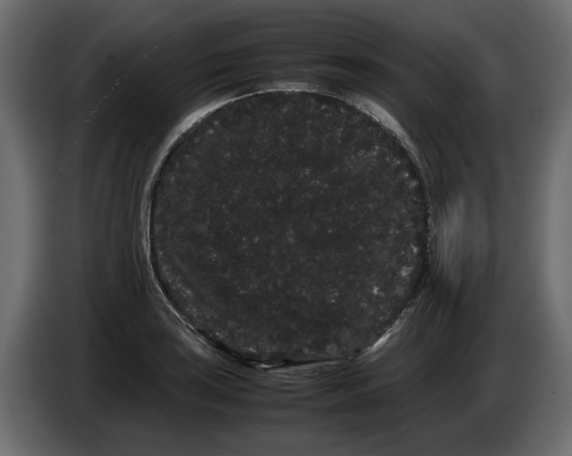 X0000082941035200703020123