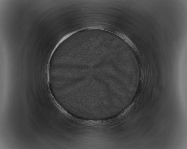 X0000082941036200703020123