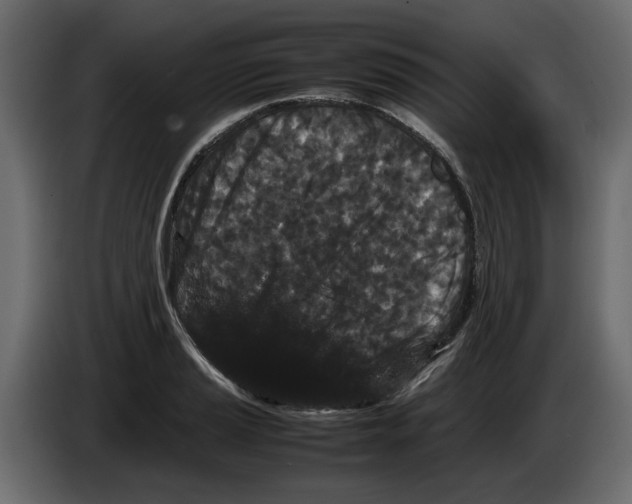 X0000082941037200703020123