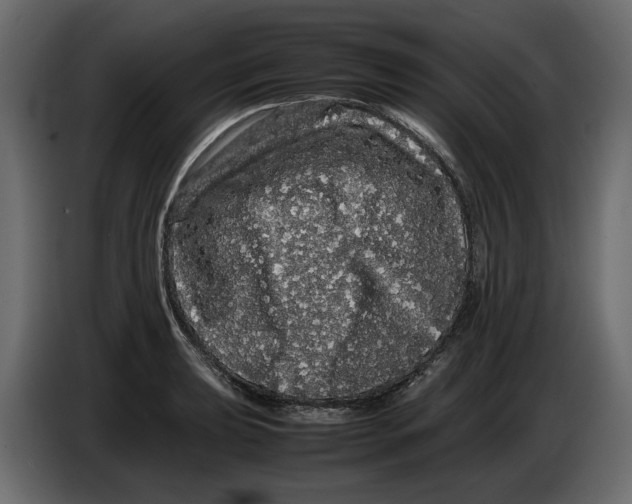 X0000082941039200703020123