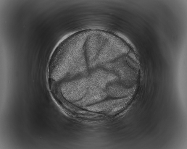 X0000082941040200703020123