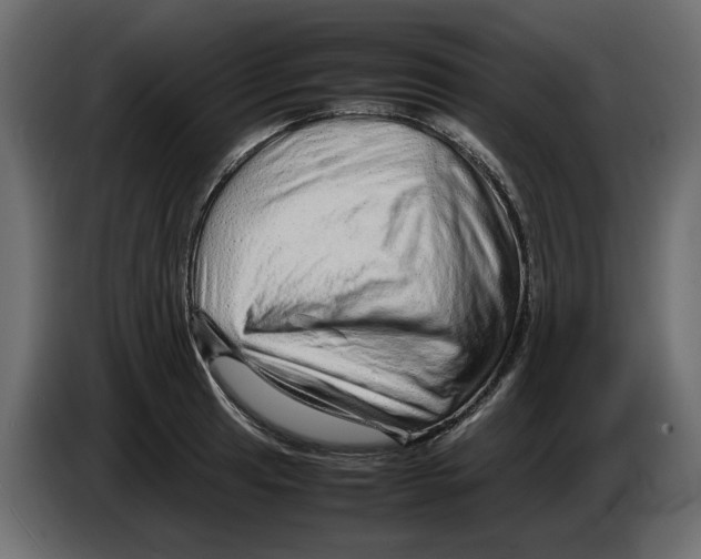 X0000082941041200703020123