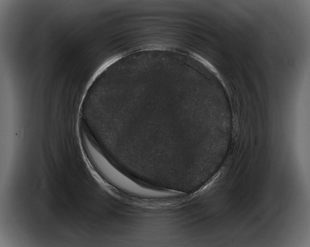 X0000082941042200703020123