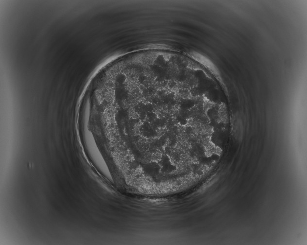 X0000082941043200703020123