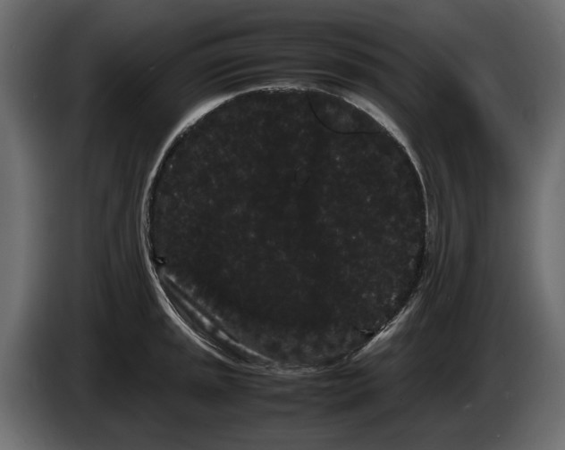 X0000082941045200703020123