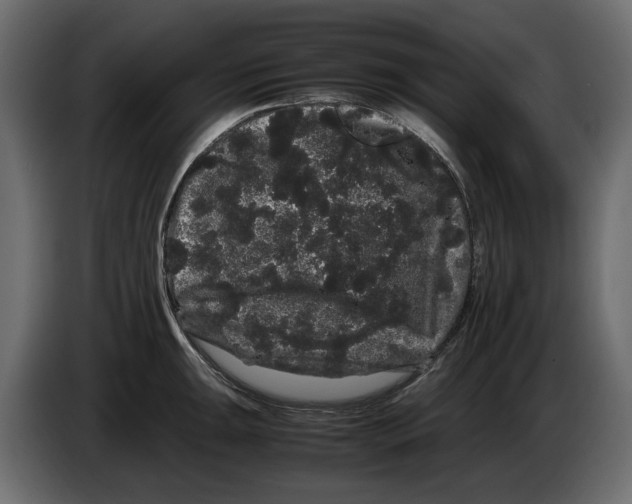 X0000082941047200703020123