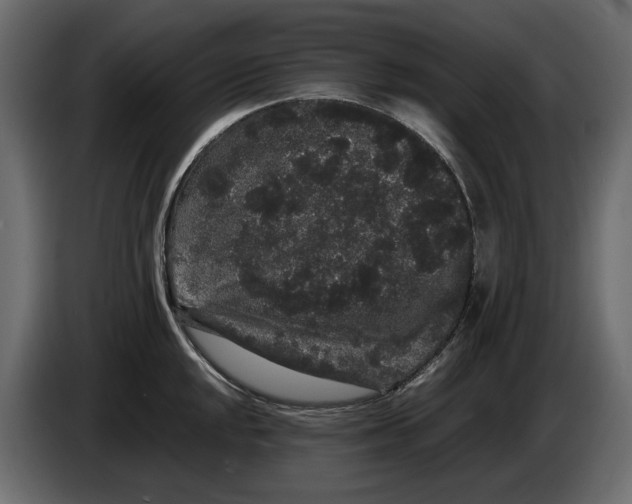 X0000082941048200703020123