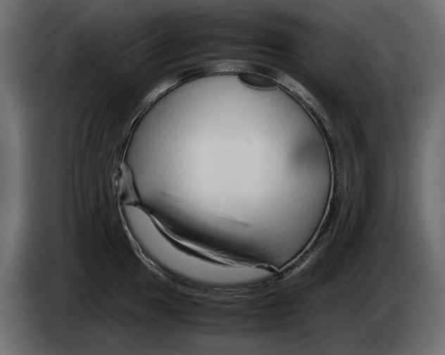 X0000082941049200703020123